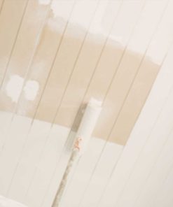 Suministro y aplicación de pintura en placa, vigas y columnas a 2 manos por m2