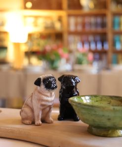 Sal Pimenteros carlinos