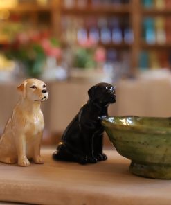 Sal Pimenteros labaradores