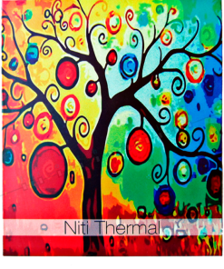 ARCO FIX NITI TÉRMICO